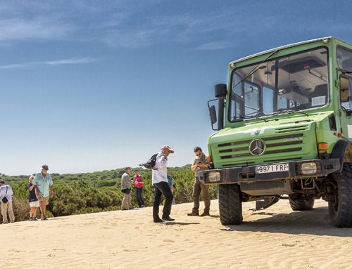 Visitas al Parque Nacional de Doñana