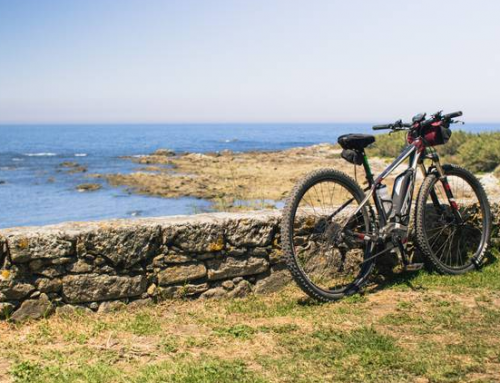 Bike Tour Doñana